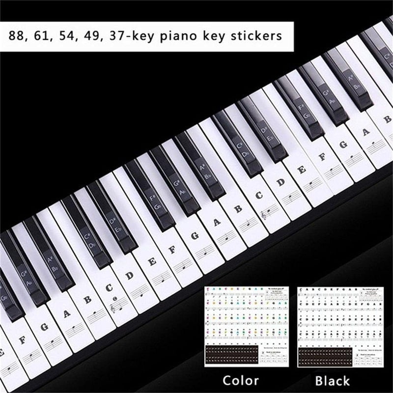 Pokinge Removable Piano Keyboard Stickers, Transparent White Keys Srcikers for 88/61/54/49Keys Multicolor Piano Notes Guide for Piano Beginners(Black&White) - Image 3